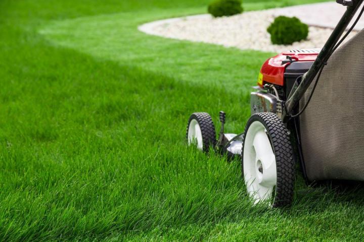 Jardinage professionnel Trappes
